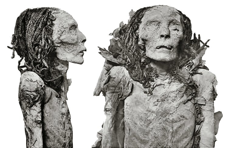 Ahmes Nefertari - Momie