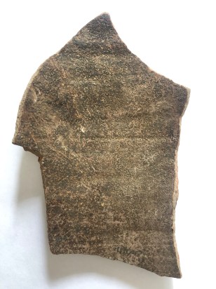 2B83AC9F-7723-4368-893C-5B32EE2C728A (1)